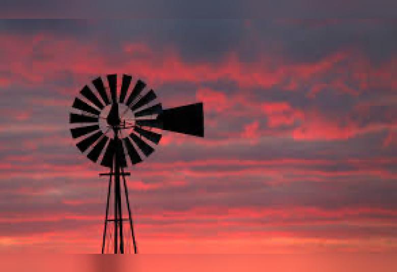 Calhoun County Phoenix - Staff Photo - Create Article