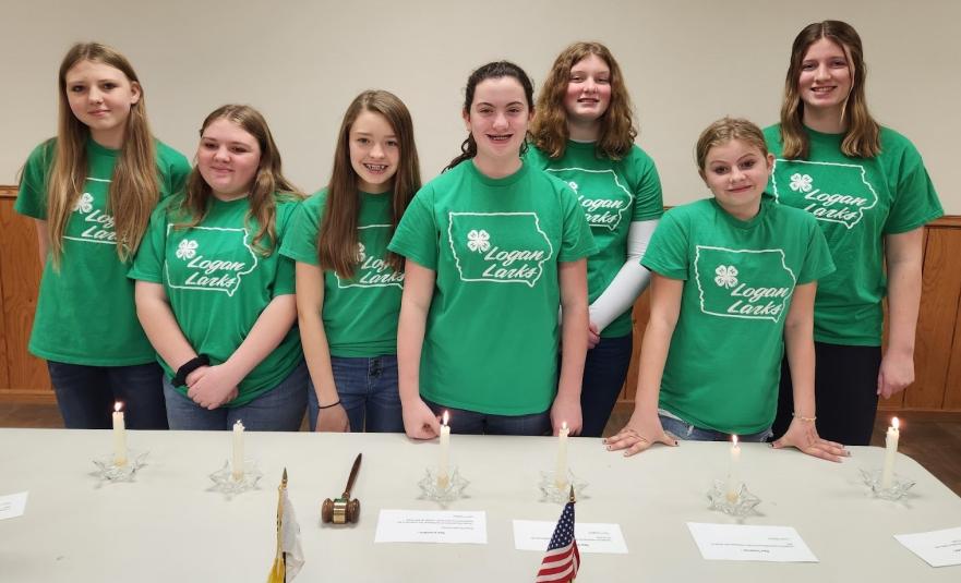 Calhoun County Phoenix - Staff Photo - Create Article
