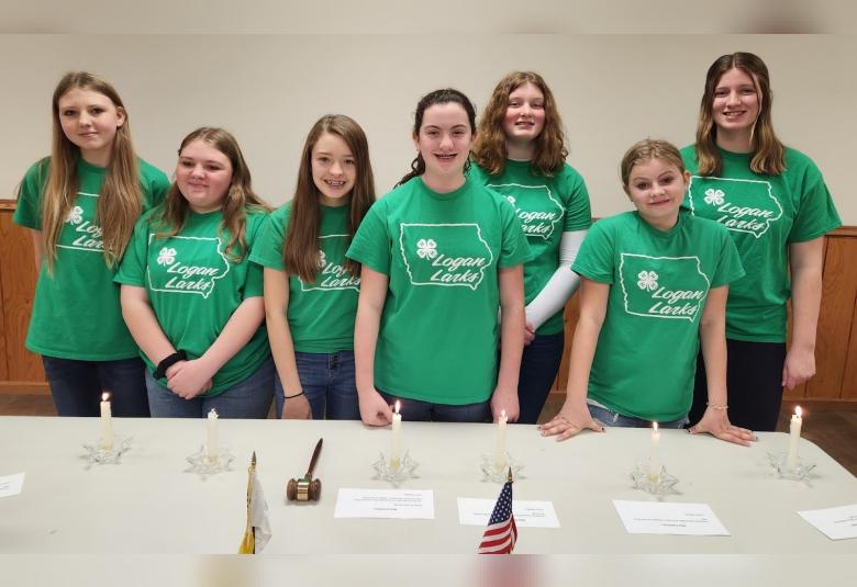 Calhoun County Phoenix - Staff Photo - Create Article