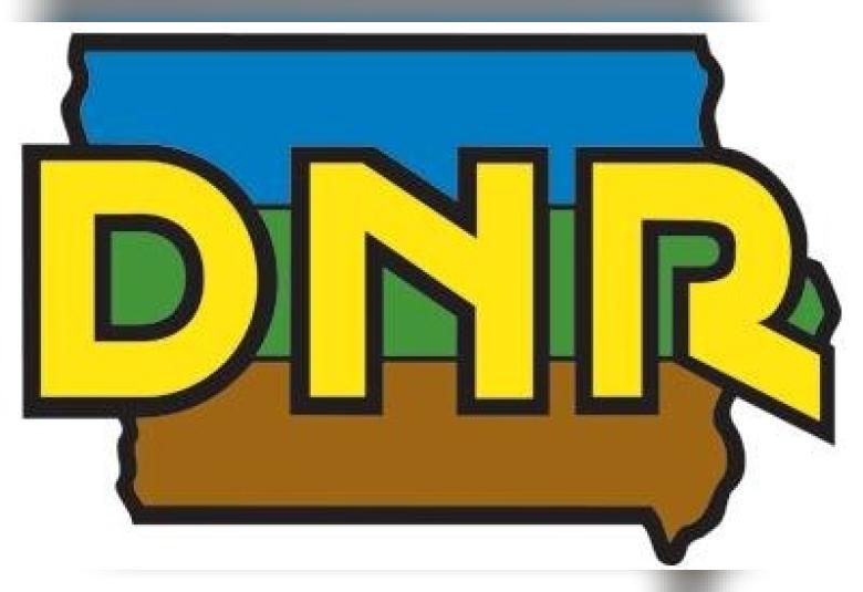 Calhoun County Phoenix - Staff Photo - Create Article